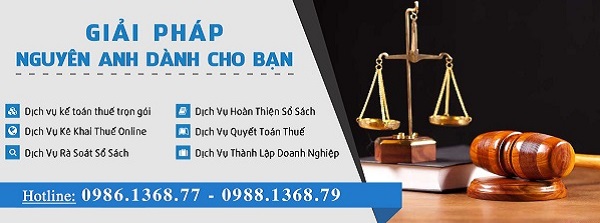 Nguyên Anh - Xây dựng hệ thống kế toán vững mạnh cho Doanh nghiệp của Bạn.